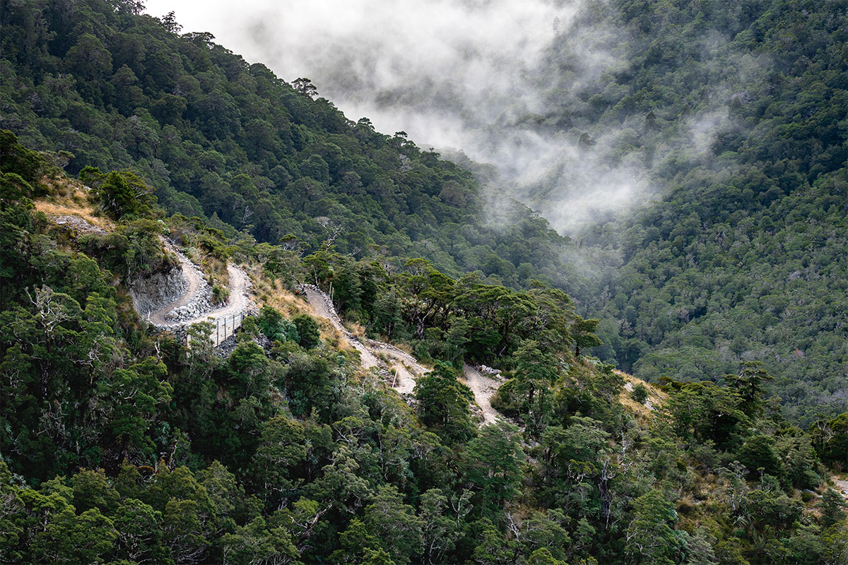 misty clouds on the old ghost road new zealand