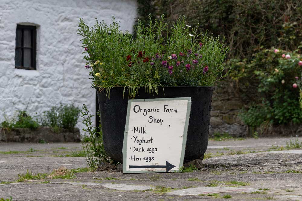 Organic Farm shop sign at Tory Hill House, displaying produce for sale